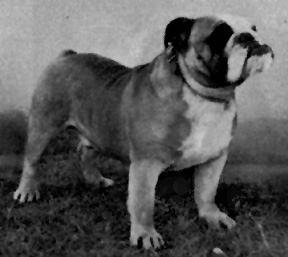 Photo of Harada Ben Pepperdine                   