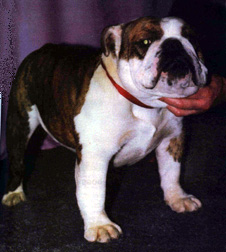 Photo of Isgraig Bella Vega                      