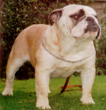 Photo of Kentee Kizzy at Outdoors                